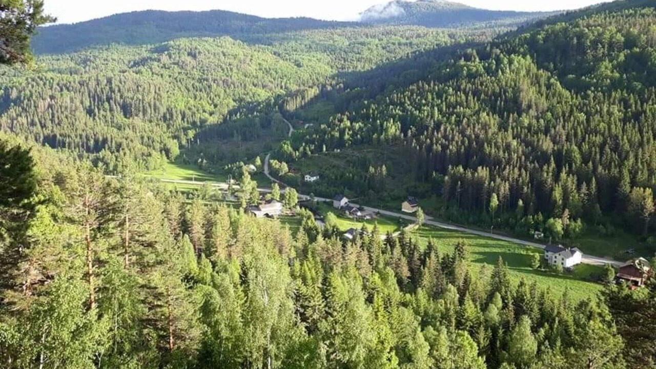 Photo of Others in Tørdal