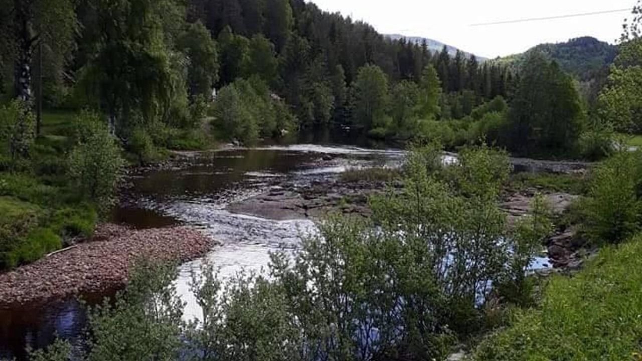 Photo of Others in Tørdal