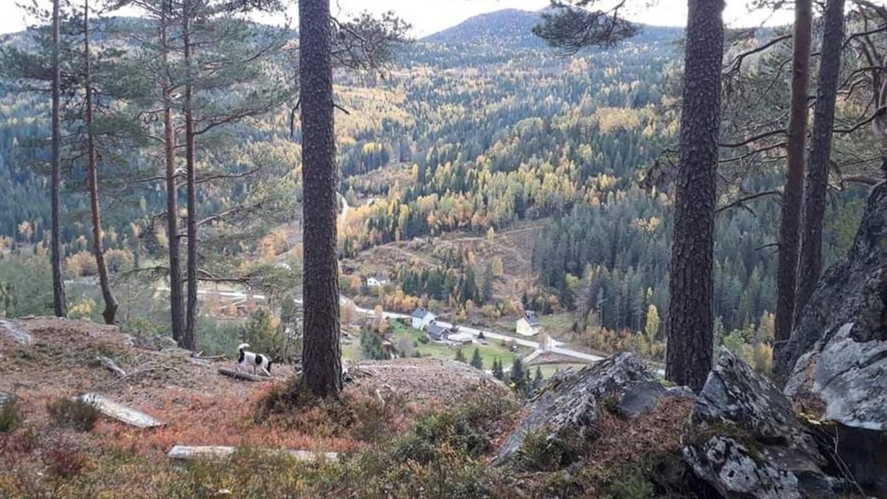 Photo of Others in Tørdal