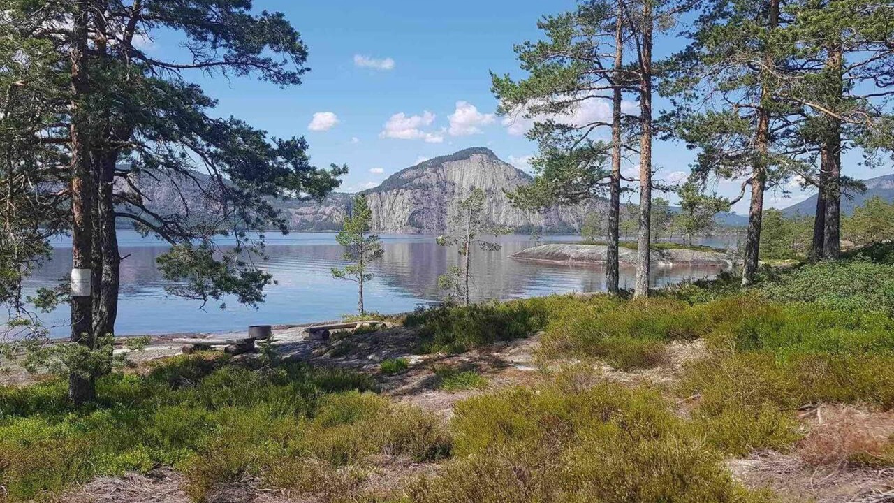 Photo of Others in Tørdal