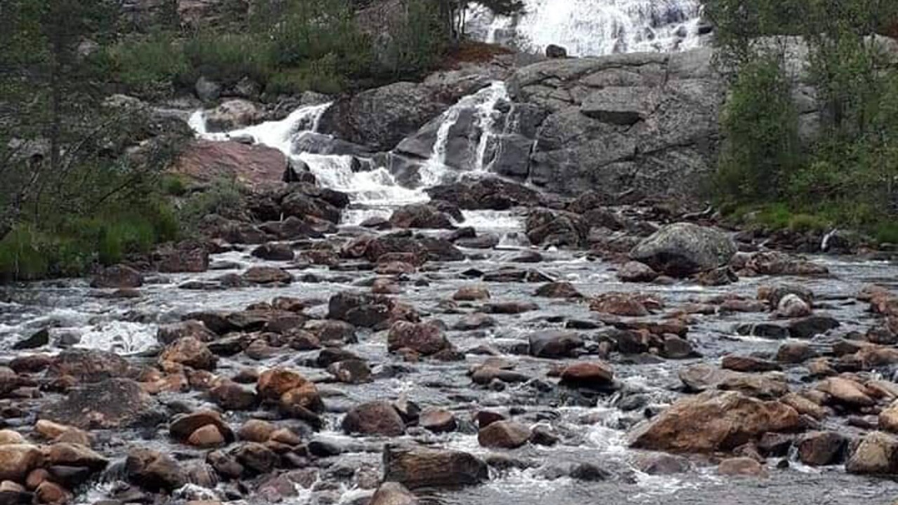 Photo of Others in Tørdal
