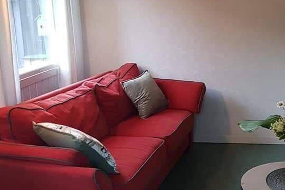 Photo of Livingroom in Tørdal