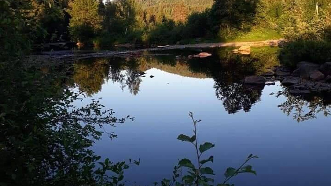 Photo of Others in Tørdal