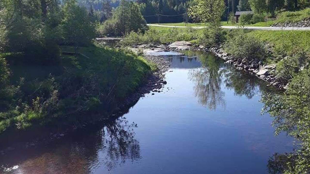 Photo of Others in Tørdal