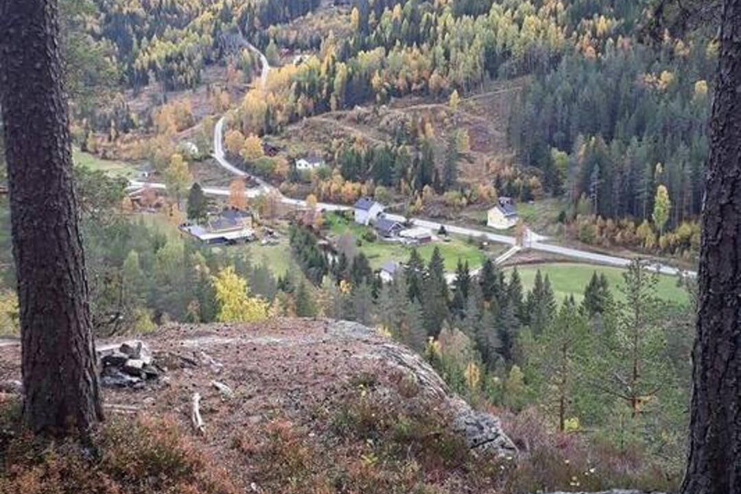 Photo of Others in Tørdal