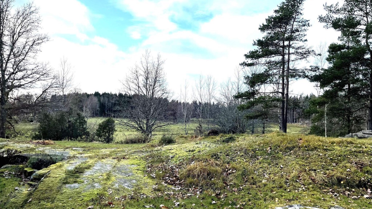 Photo of Outdoor in Prassebo