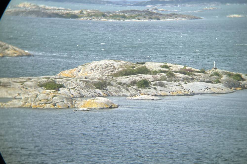 Photo of Others in Hovas