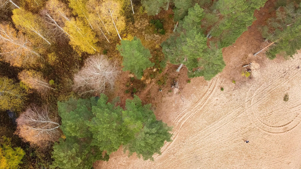 Photo of Others in Grasmark