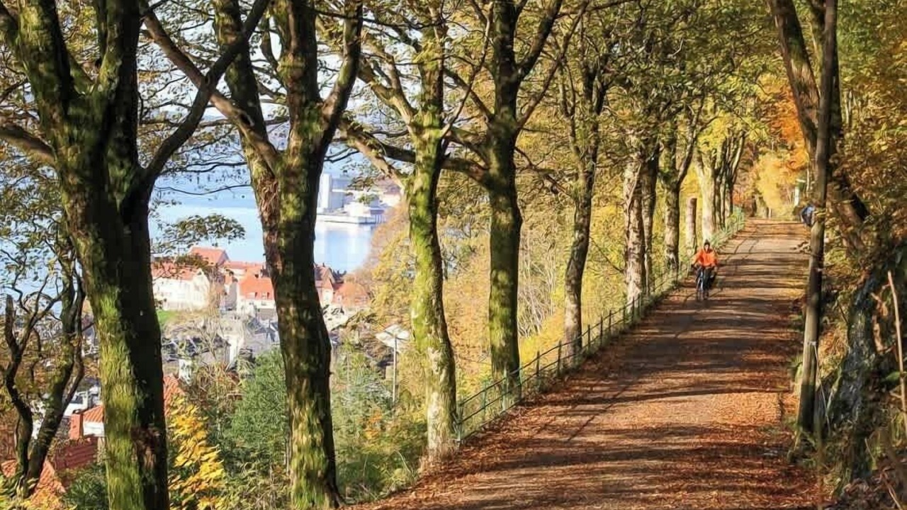 Photo of Others in Sandviken