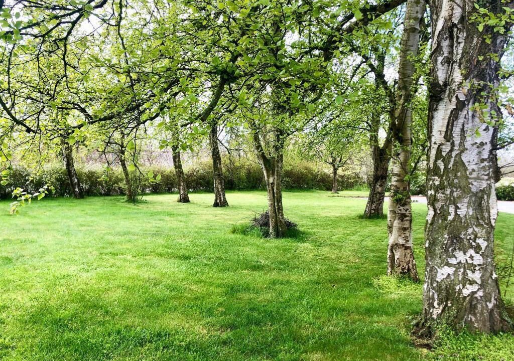 Photo of Outdoor in Simrishamn
