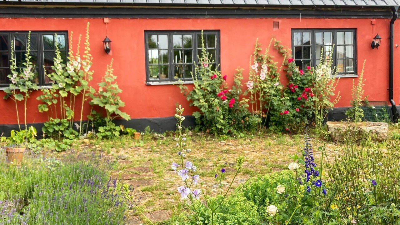 Photo of Outdoor in Loderup