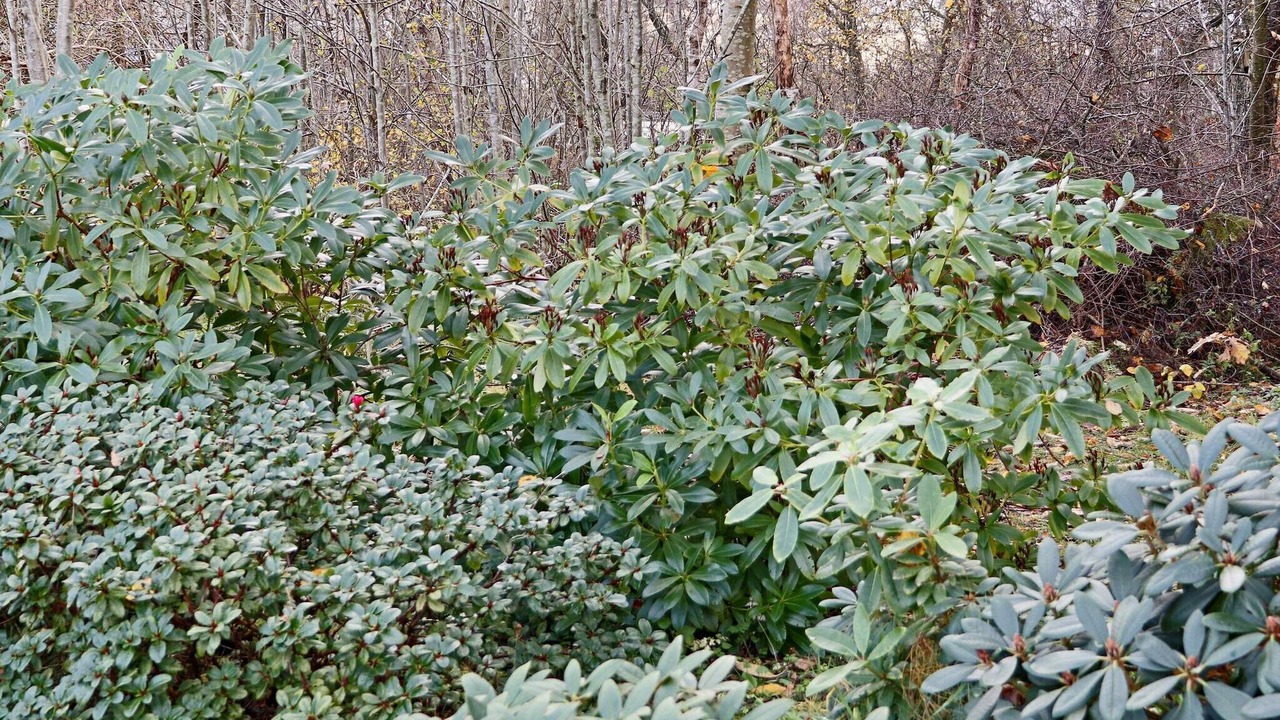 Photo of Outdoor in Falkenberg