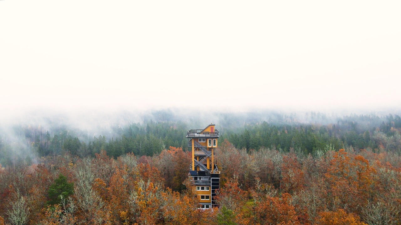 Photo of Outdoor in Langasjo