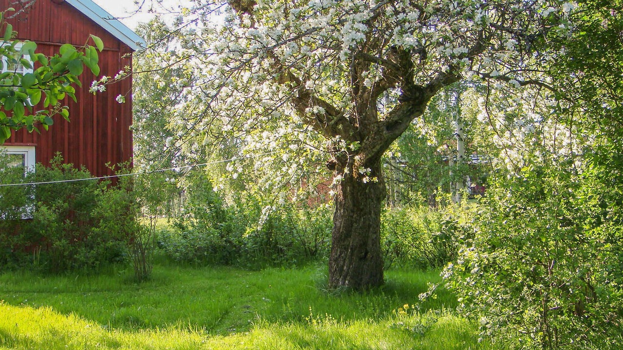 Photo of Outdoor in Lingbo