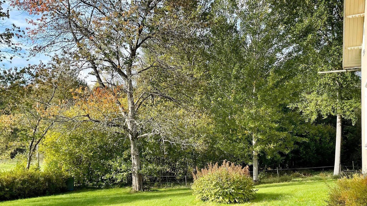 Photo of Outdoor in Nye