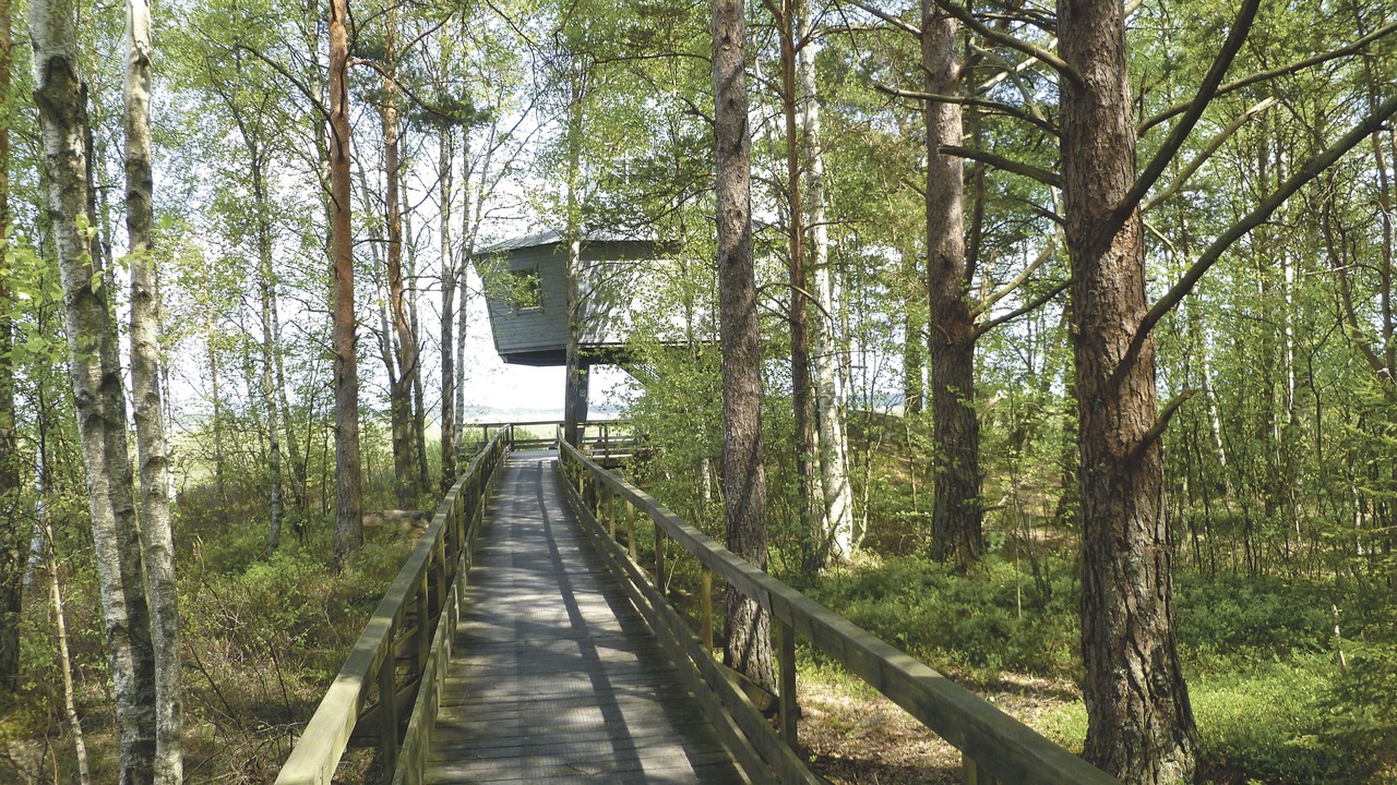 Photo of Outdoor in Skillingaryd