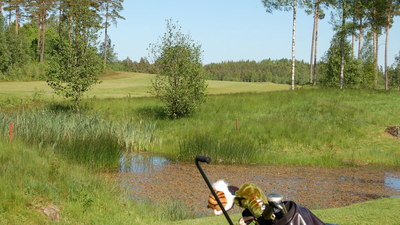 Photo of Others in Jönköping