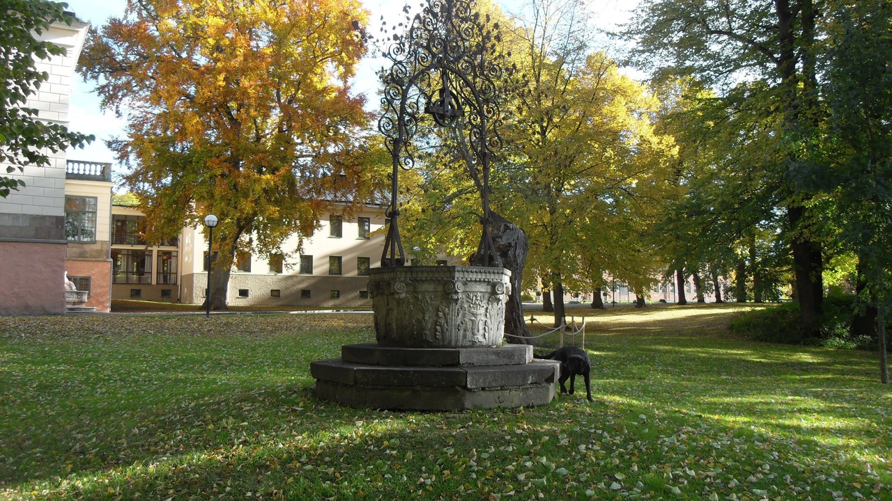 Photo of Outdoor in Nasbypark