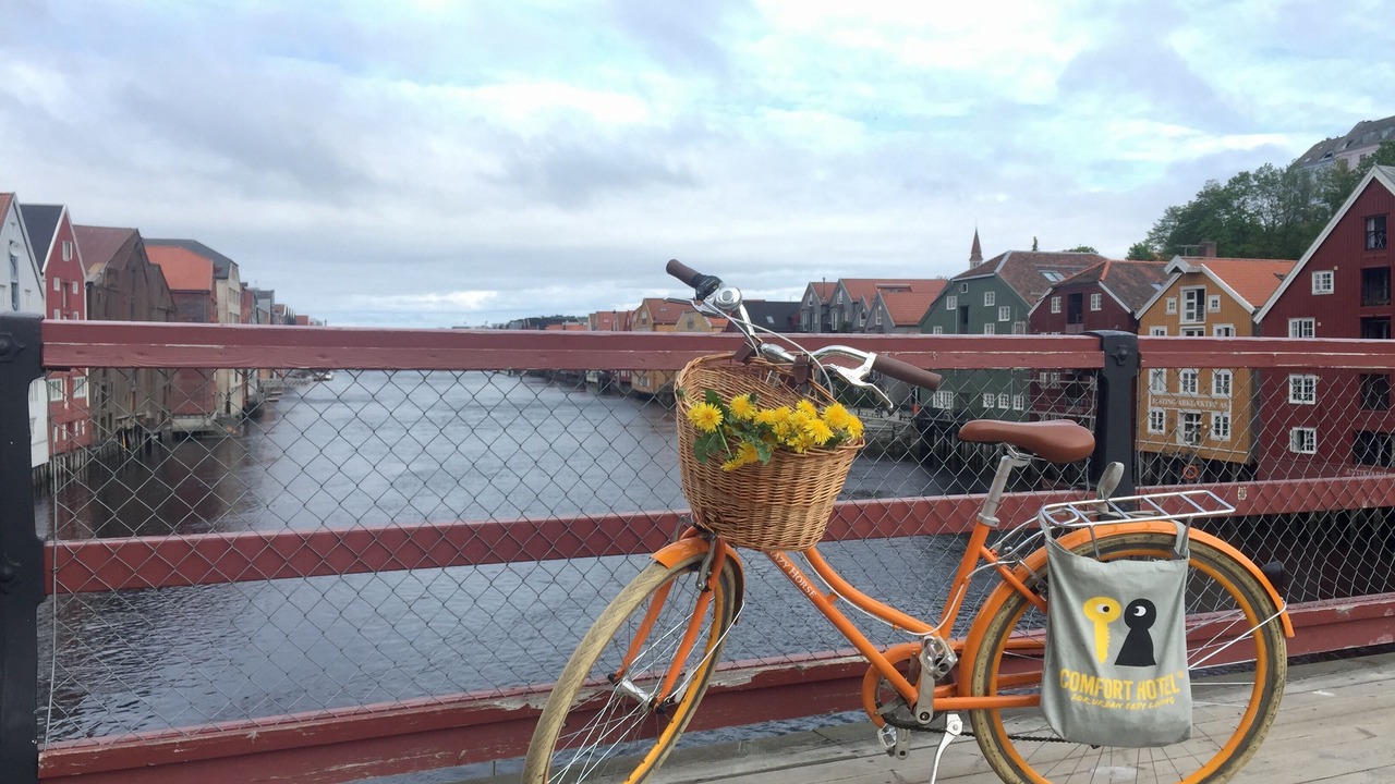 Photo of Outdoor in Trondheim City Centre