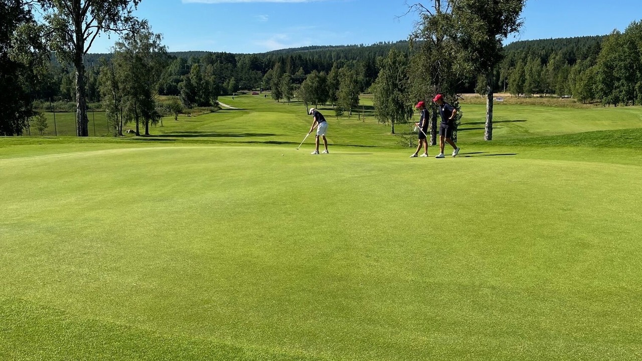 Photo of Others in Falun