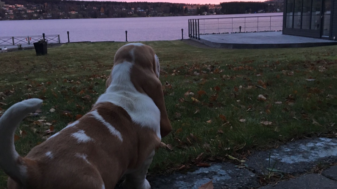 Photo of Others in Ostersund