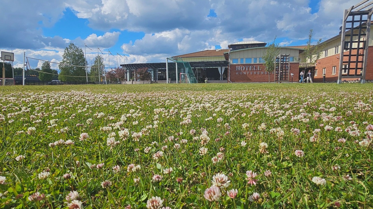 Photo of Outdoor in Skelleftea
