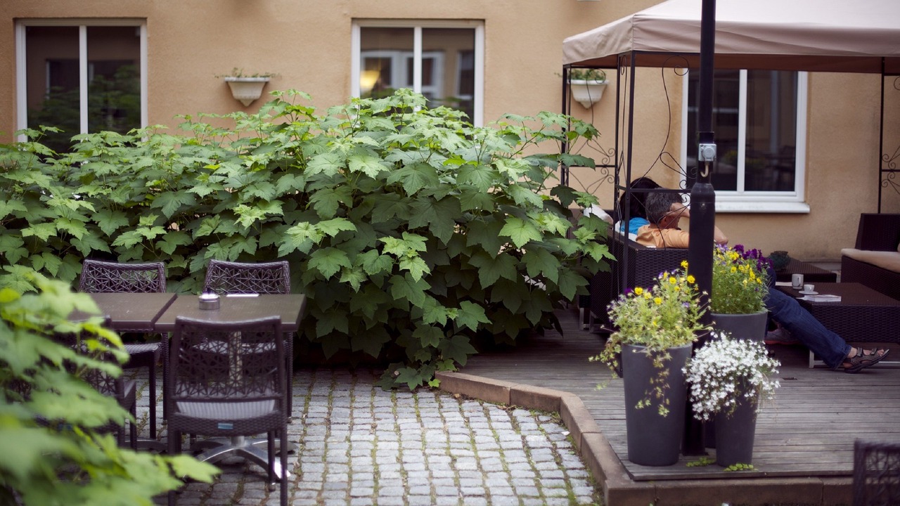 Photo of Outdoor in Umea