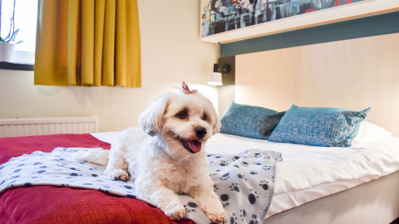 Photo of Bedroom in Molndal