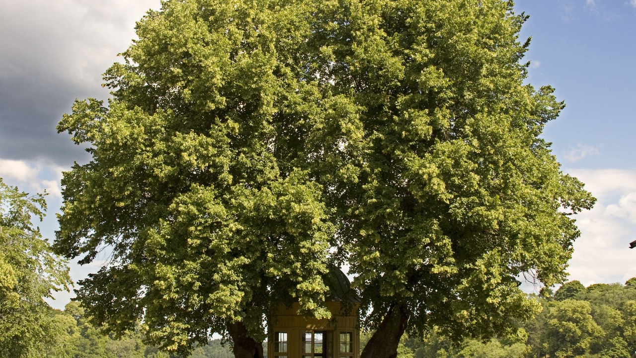 Photo of Outdoor in Vasastan