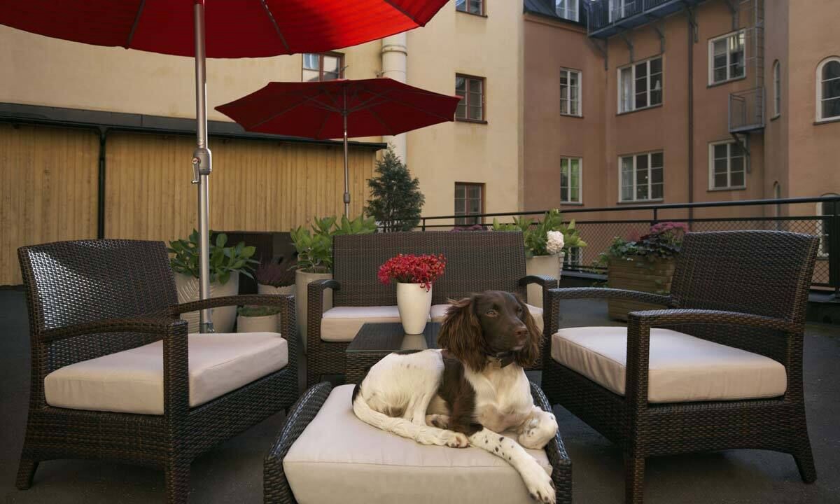 Photo of Patio Balcony in Ostermalm