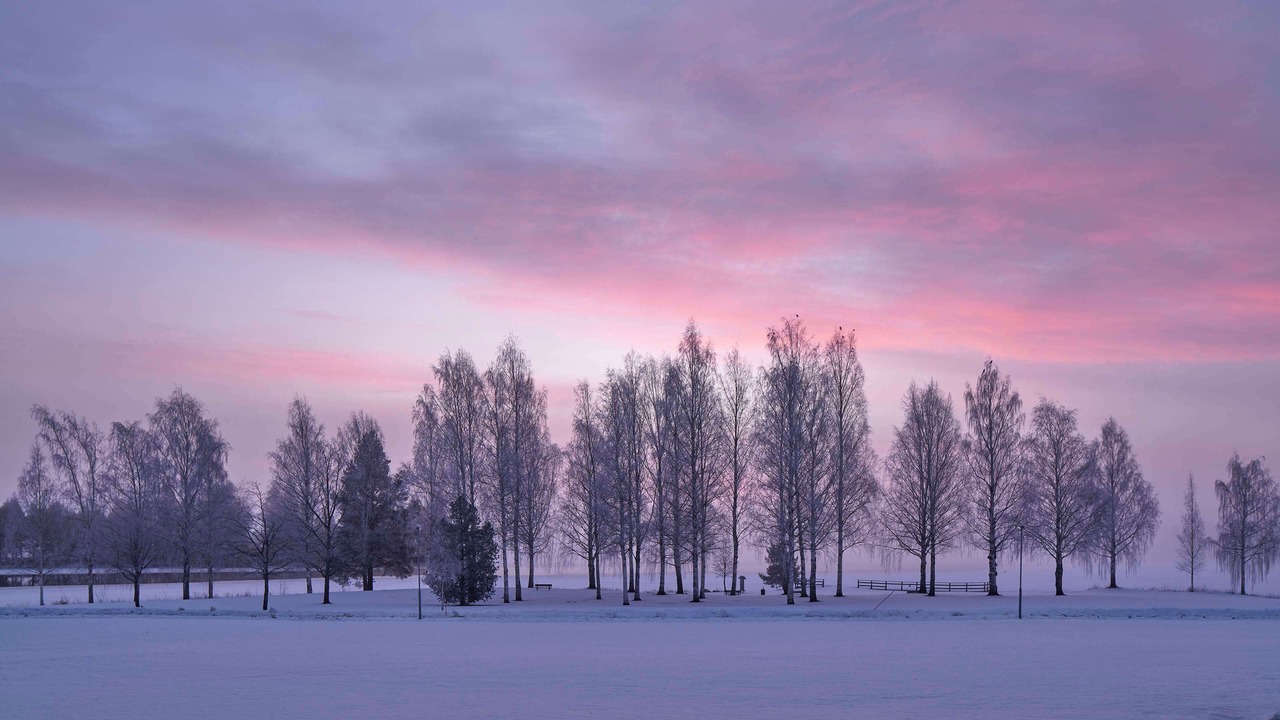 Photo of Outdoor in Bollnas