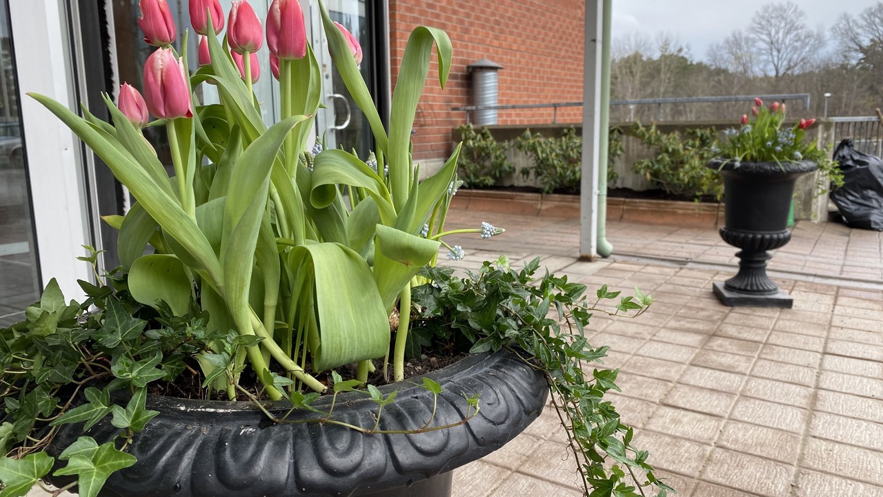 Photo of Outdoor in Nacka