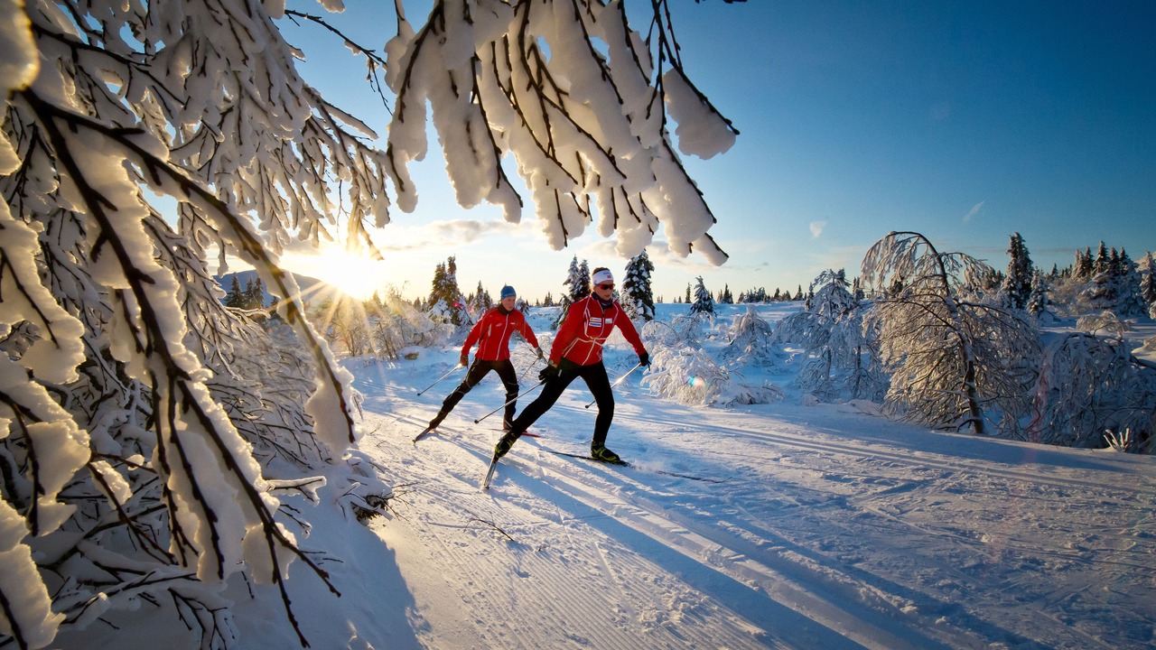 Photo of Others in Tromso