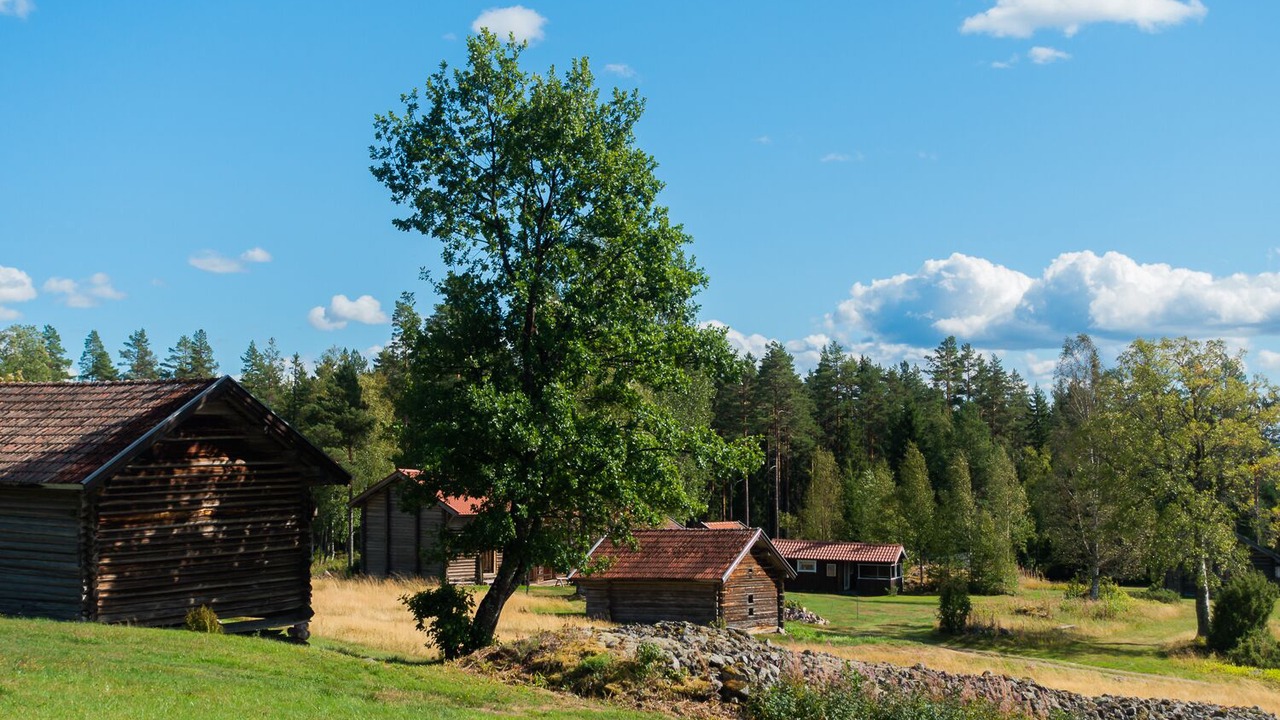 Photo of Outdoor in Mora