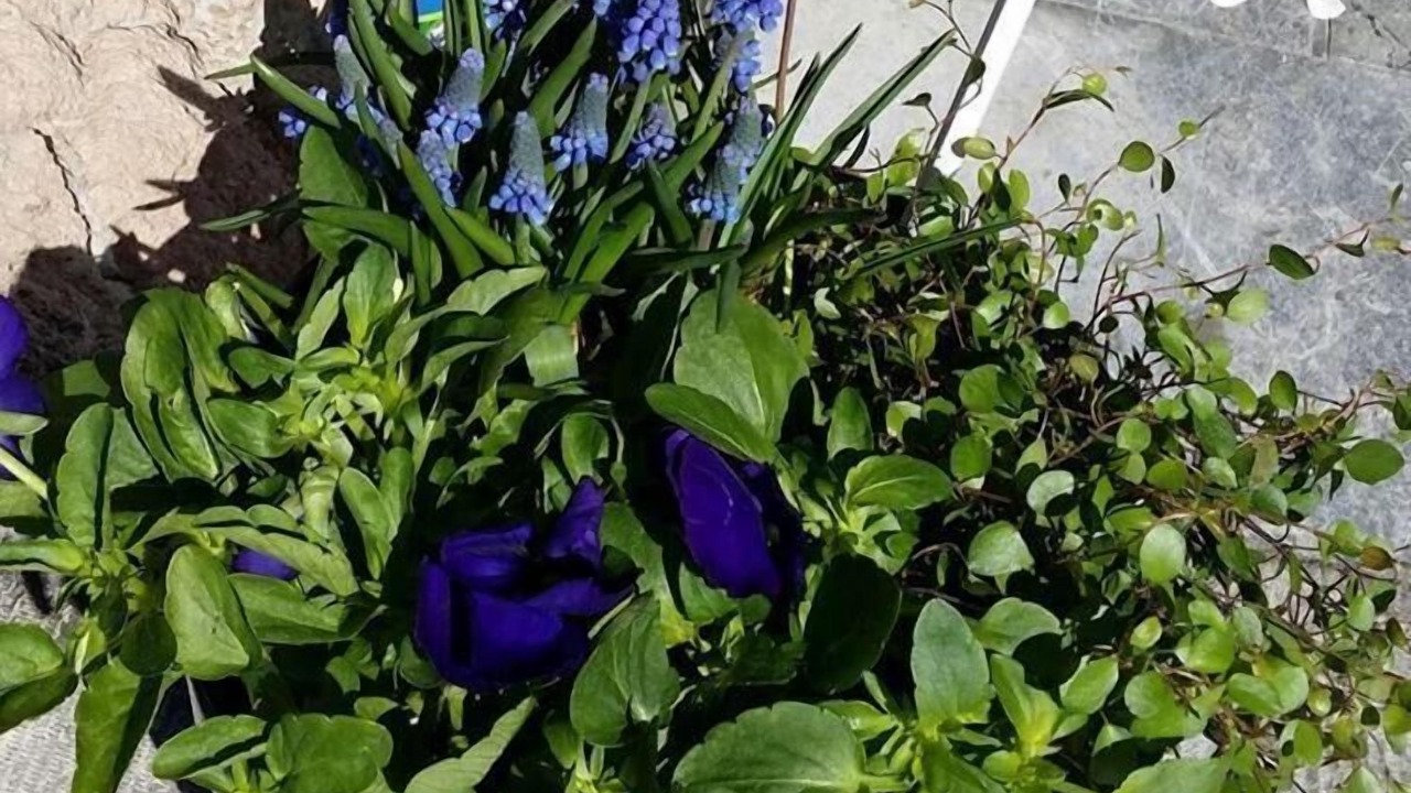 Photo of Outdoor in Vanersborg