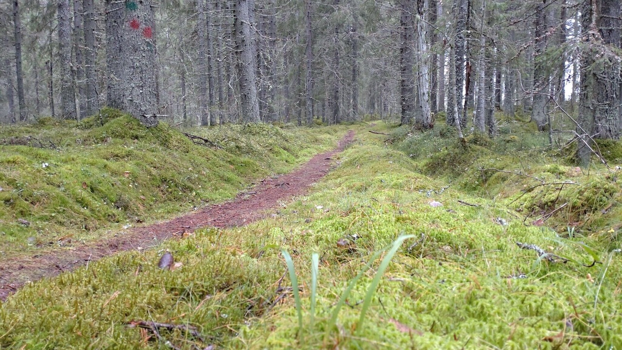 Photo of Outdoor in Iisalmi