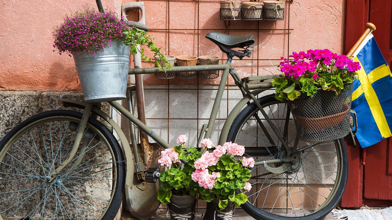 Photo of Outdoor in SoFo