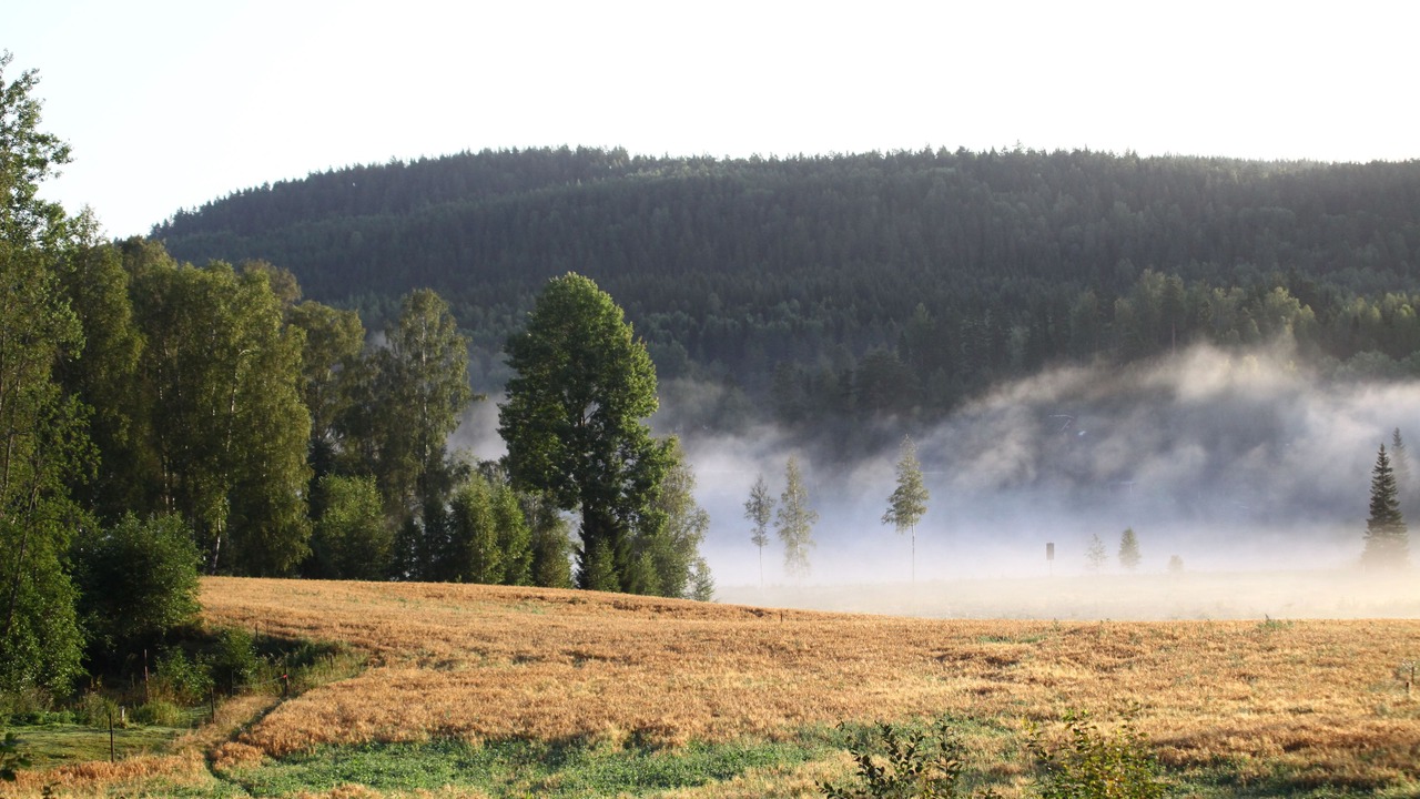 Photo of Outdoor in Nora Municipality
