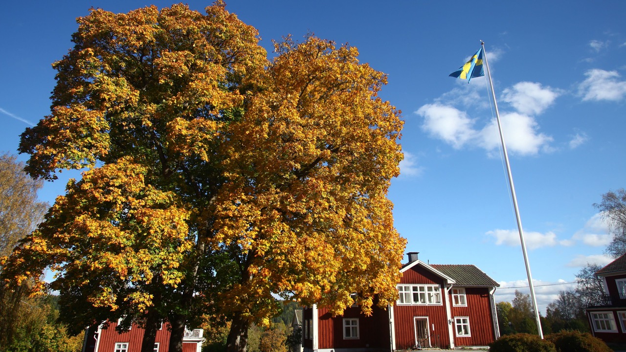 Photo of Outdoor in Nora Municipality