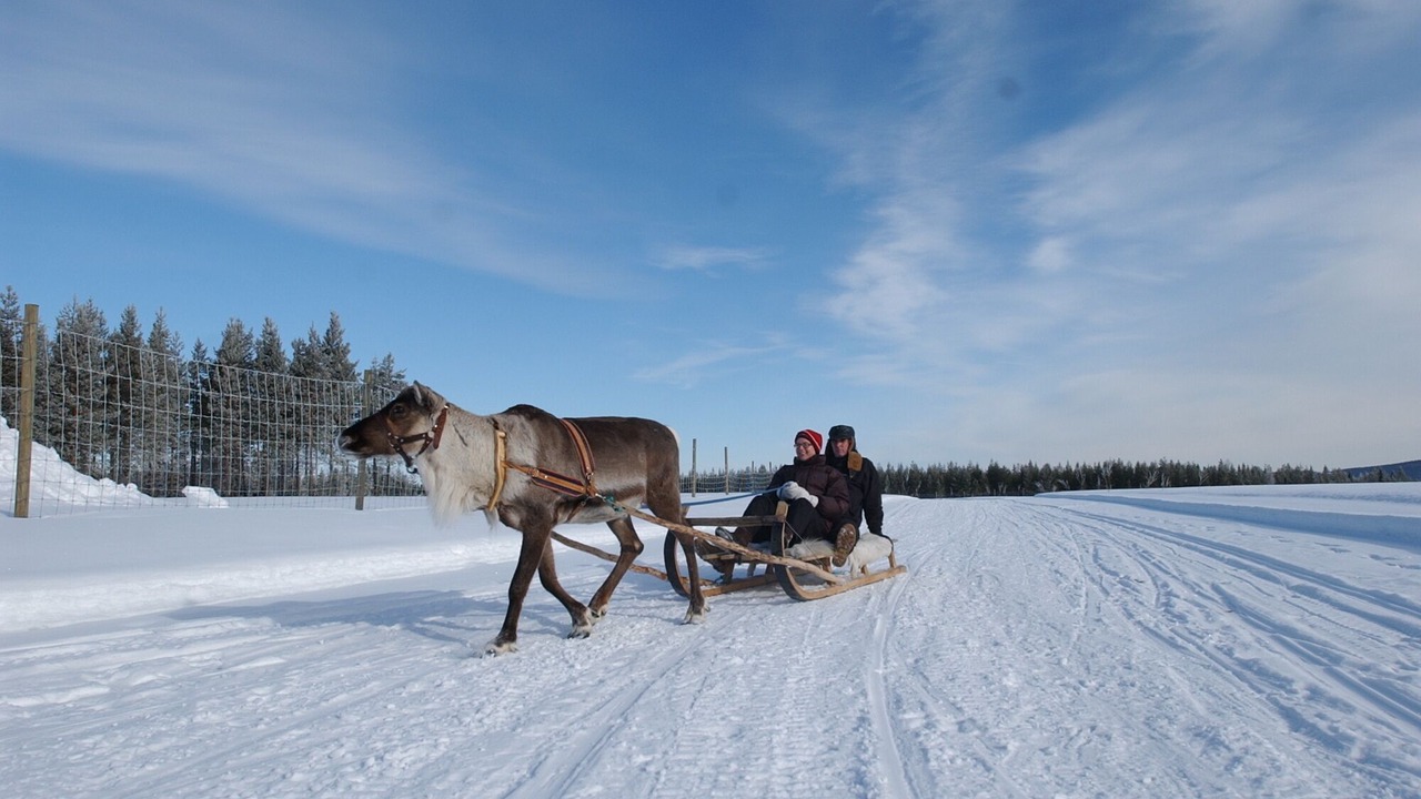 Photo of Others in Kalix