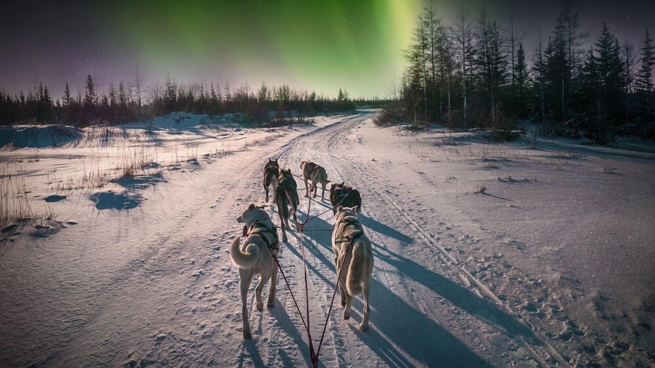 Photo of Others in Kalix