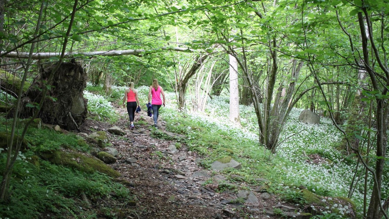 Photo of Outdoor in Satila
