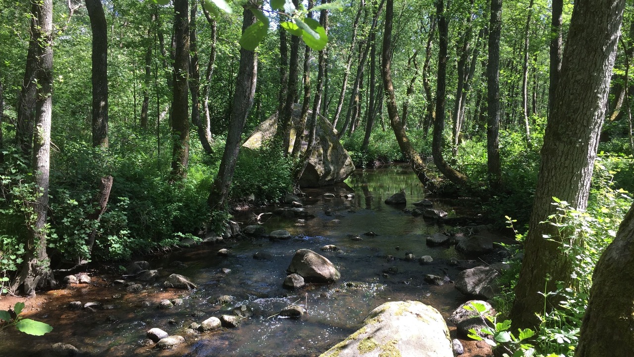 Photo of Outdoor in Tylosand