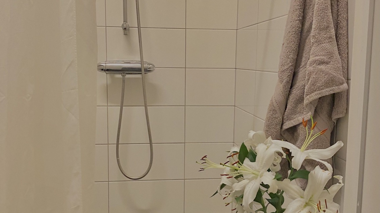 Photo of Bathroom in Vasastan