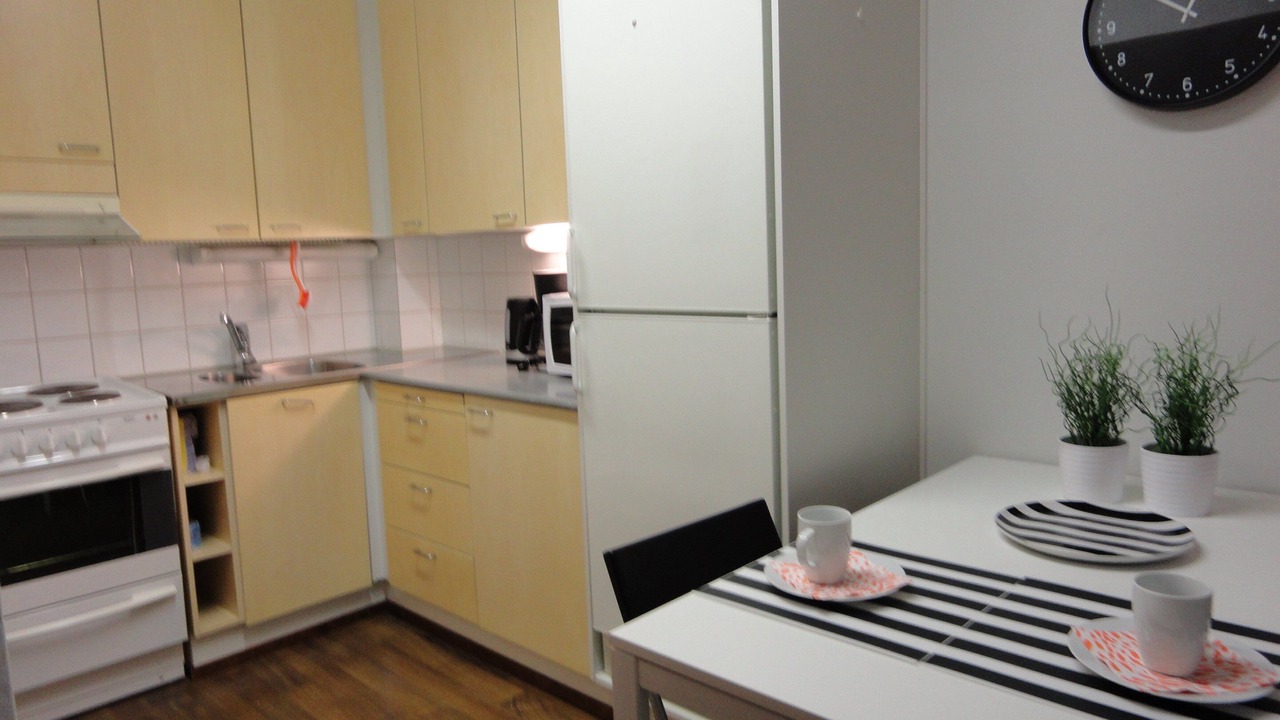 Photo of Kitchen in Lantinen District