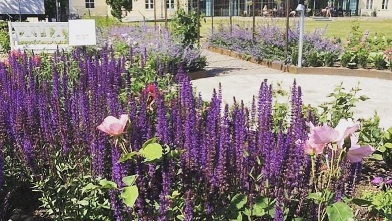 Photo of Outdoor in Vastervik