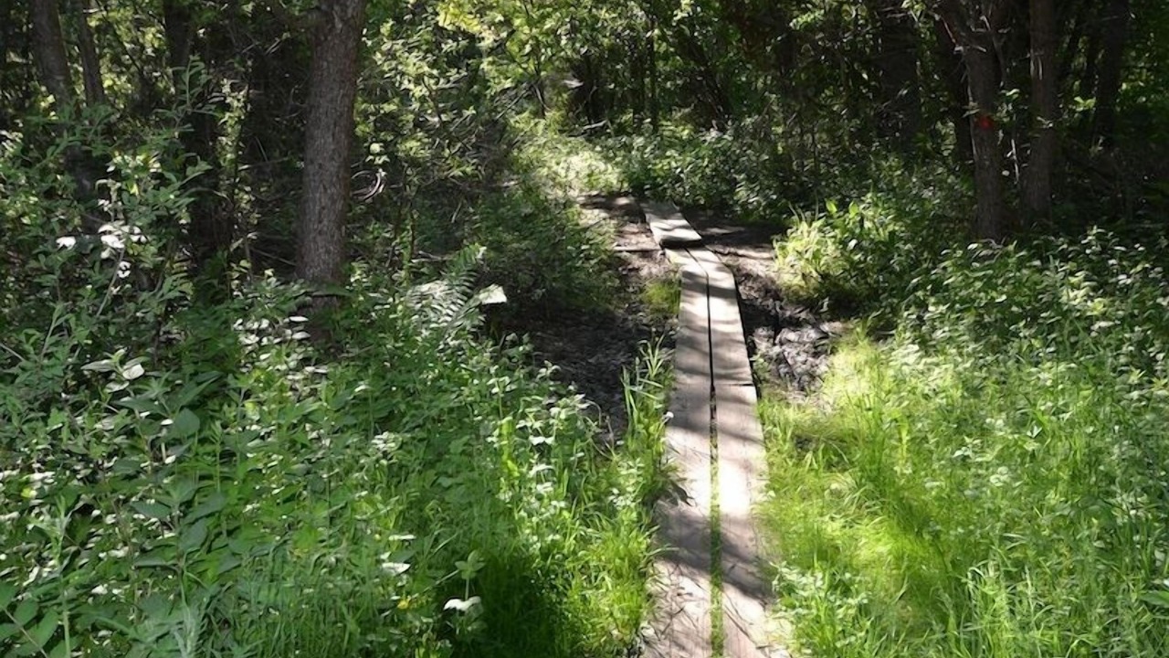 Photo of Outdoor in Vastervik