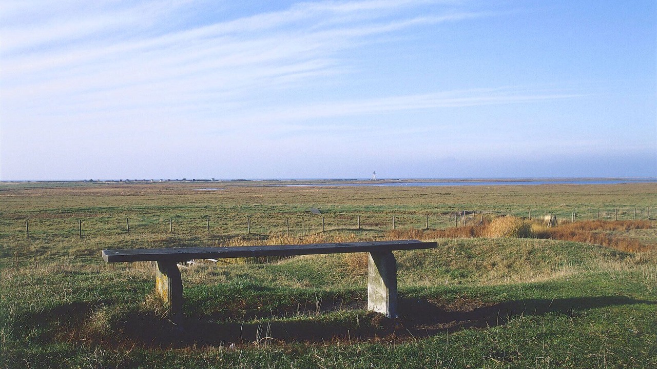 Photo of Outdoor in Skanor-Falsterbo