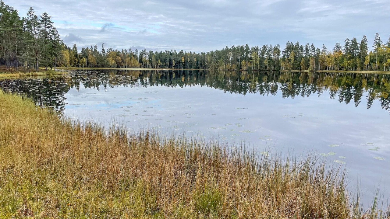 Photo of Outdoor in Grythyttan