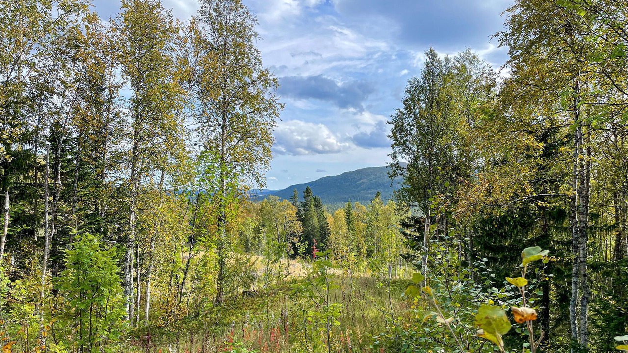 Photo of Outdoor in Kittelfjall